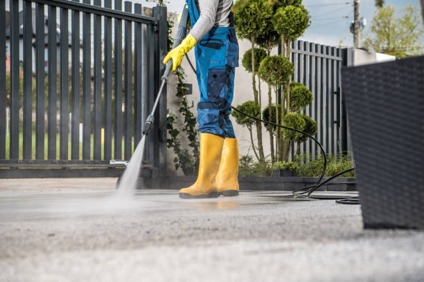 Best Sidewalk and Walkway Cleaning  in Petersburg, AK