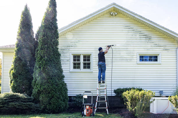 Best Driveway Pressure Washing  in Petersburg, AK